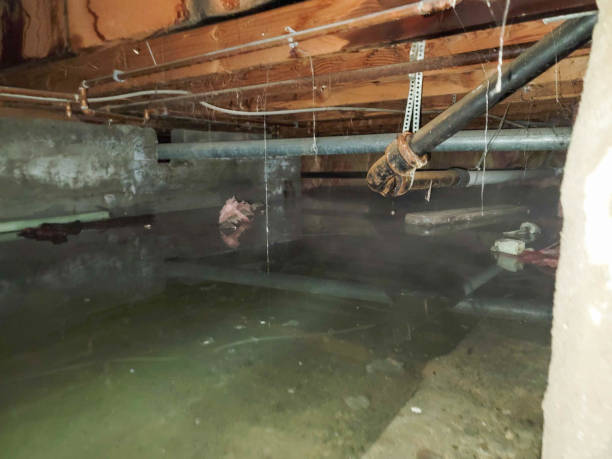 Best Ceiling water damage repair  in Crestline, CA