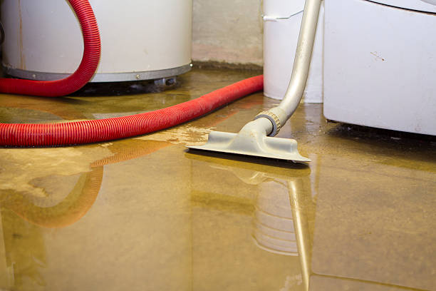 Best Water damage restoration near me  in Crestline, CA