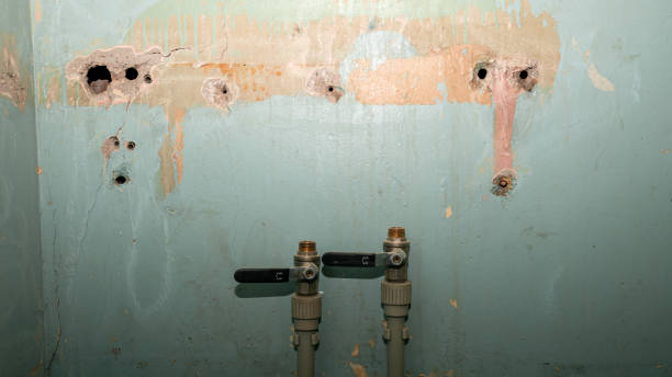 Best Commercial water damage restoration  in Crestline, CA