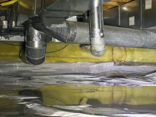 Best Local water damage restoration  in Crestline, CA