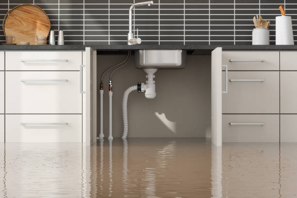 Best Professional water damage repair  in Crestline, CA