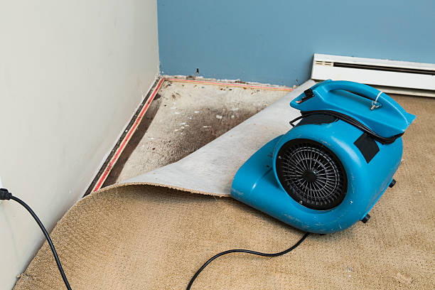 Best Carpet water damage restoration  in Crestline, CA